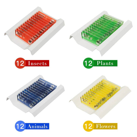 Kids Lab testing Kits